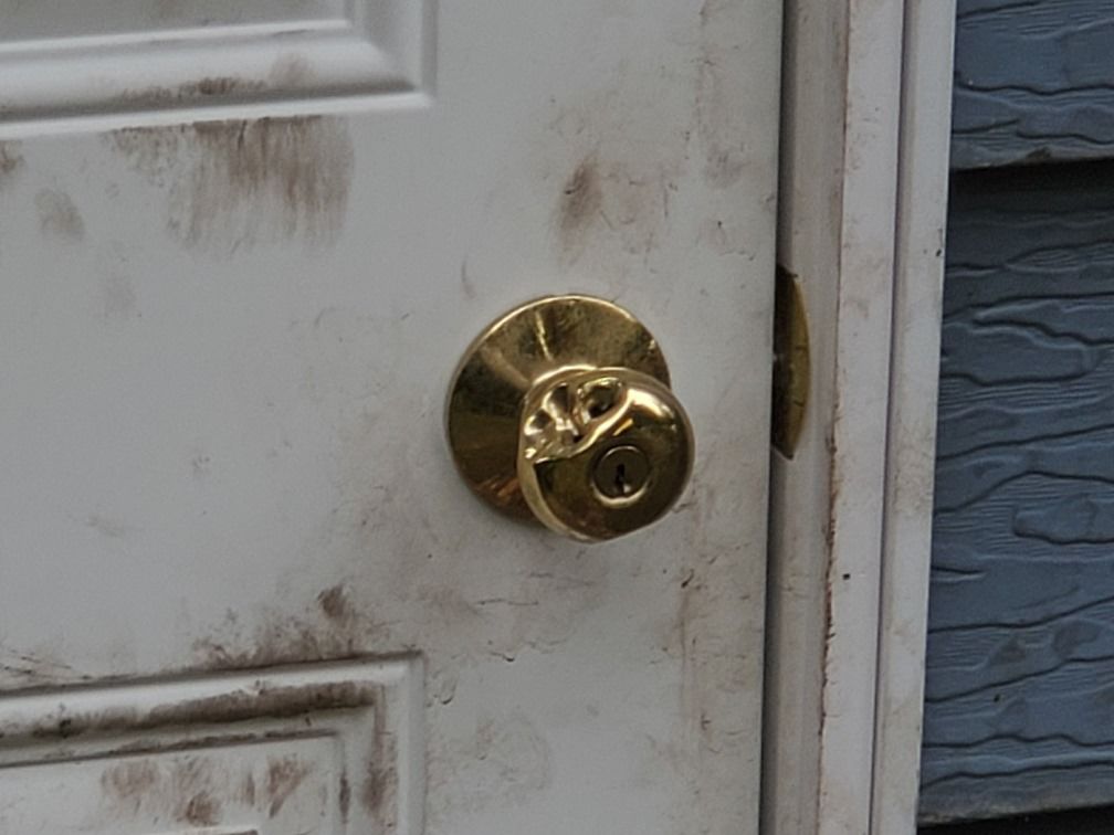 bear door1